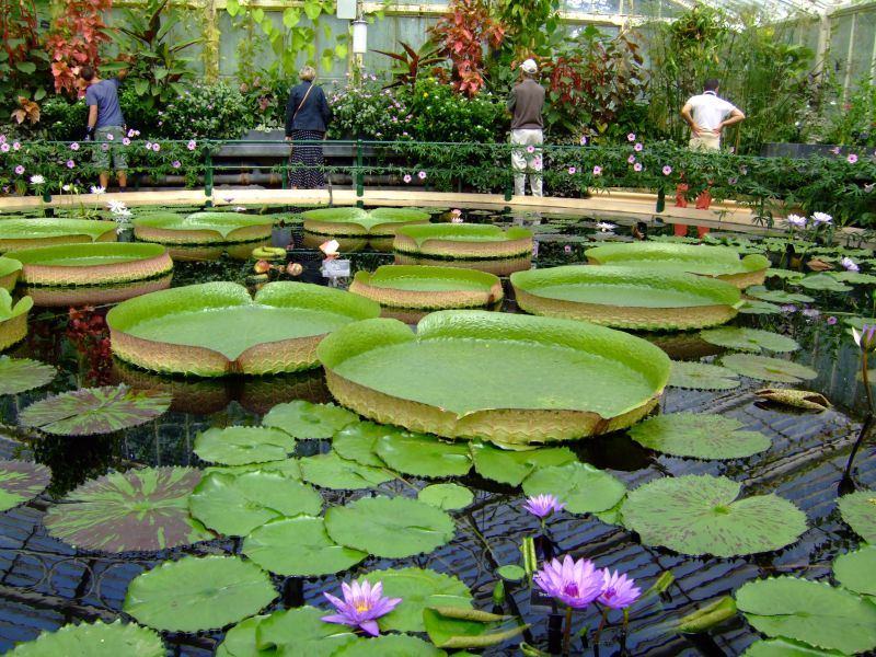 DSCF8273.JPG