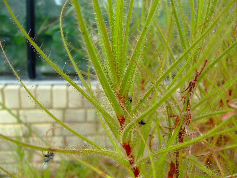 DSCF8277.JPG
