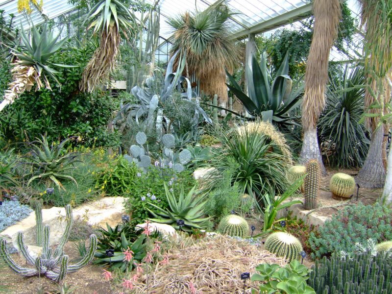 DSCF8281.JPG