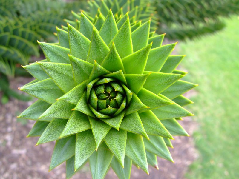 DSCF8286.JPG