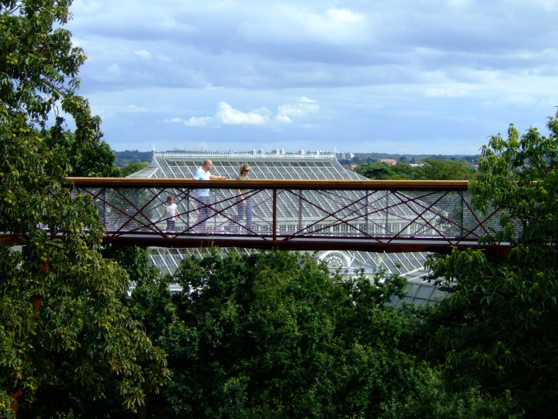 DSCF8311.JPG
