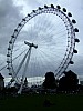 DSCF8227.JPG