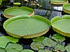 DSCF8275.JPG