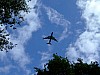 DSCF8292.JPG