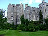 DSCF8339.JPG