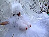 DSCF8656.JPG