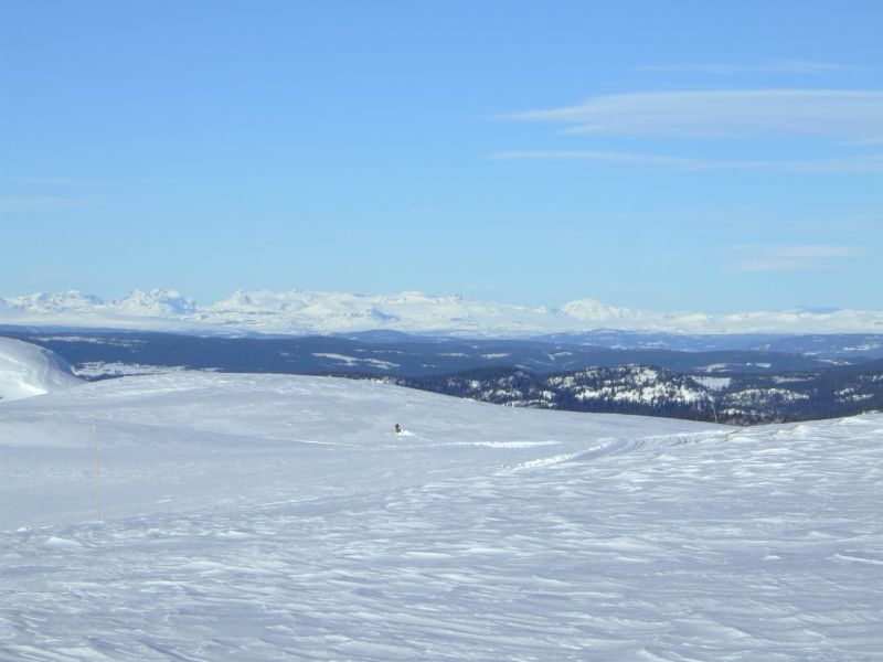 DSCF5953.JPG
