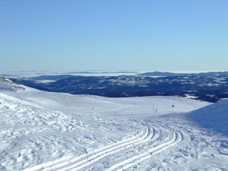 DSCF5955.JPG