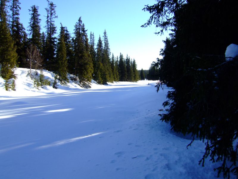 DSCF5980.JPG