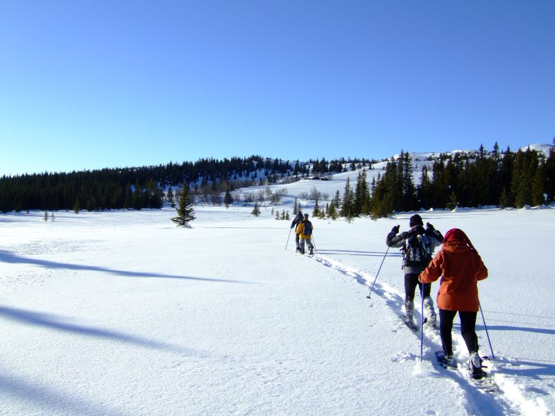 DSCF5990.JPG