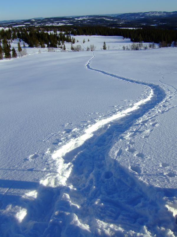 DSCF5995.JPG
