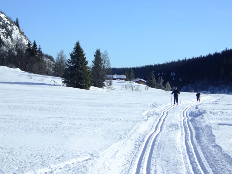 DSCF6033.JPG