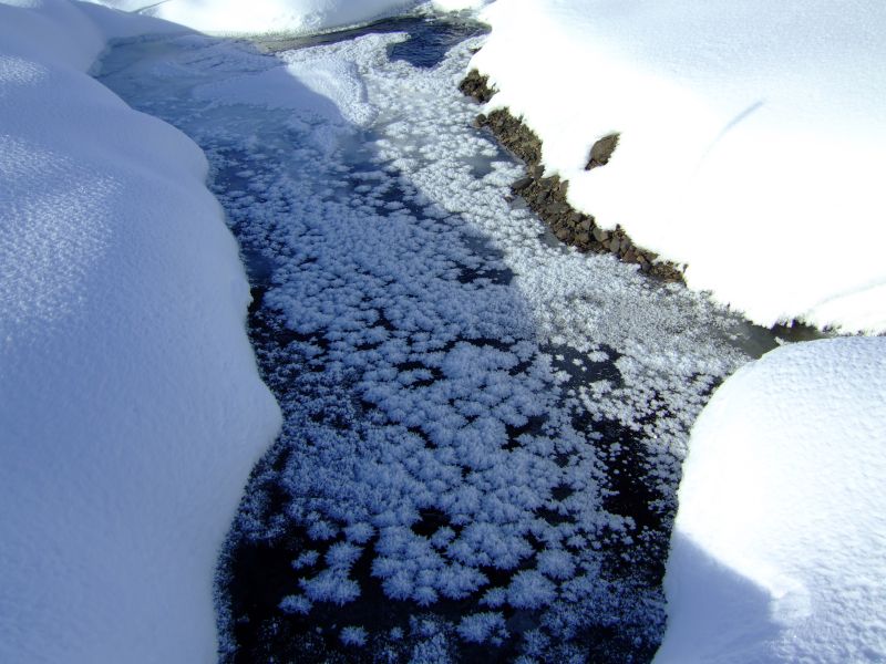 DSCF6036.JPG