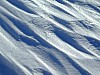 DSCF5956.JPG