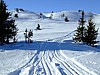 DSCF5963.JPG
