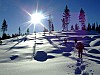 DSCF5981.JPG