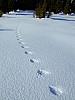 DSCF5991.JPG