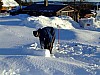 DSCF6013.JPG