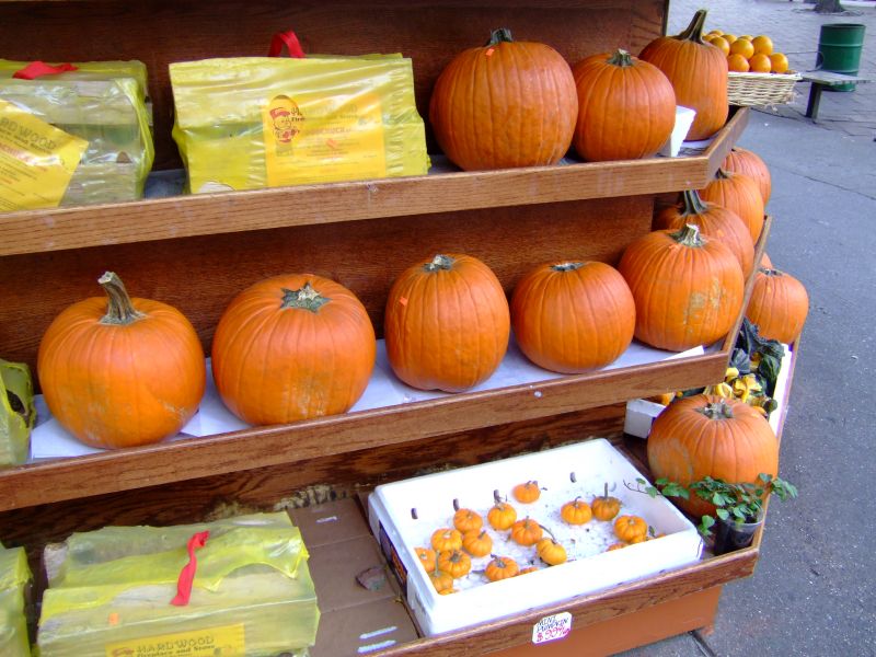 DSCF9302.JPG