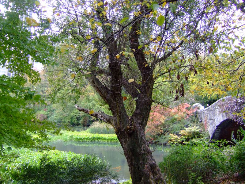 DSCF9395.JPG