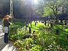 DSCF9234.JPG