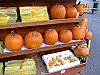 DSCF9302.JPG