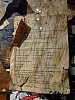 DSCF9331b.JPG