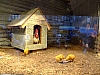 DSCF9514.JPG
