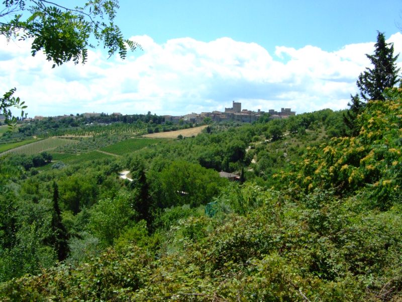 DSCF7846.JPG