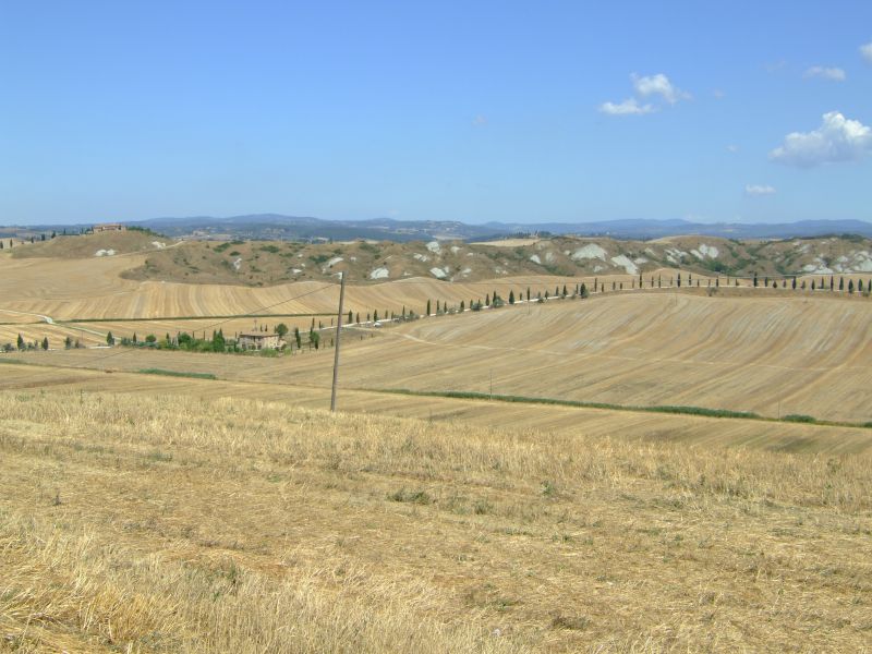 DSCF7881.JPG