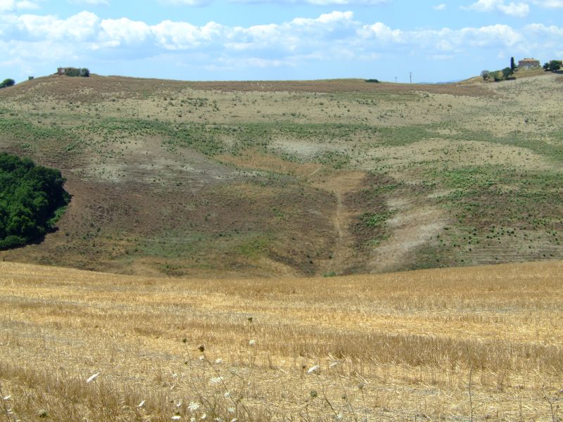 DSCF7887.JPG