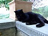 DSCF8024.JPG