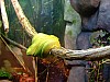 DSCF0471.JPG