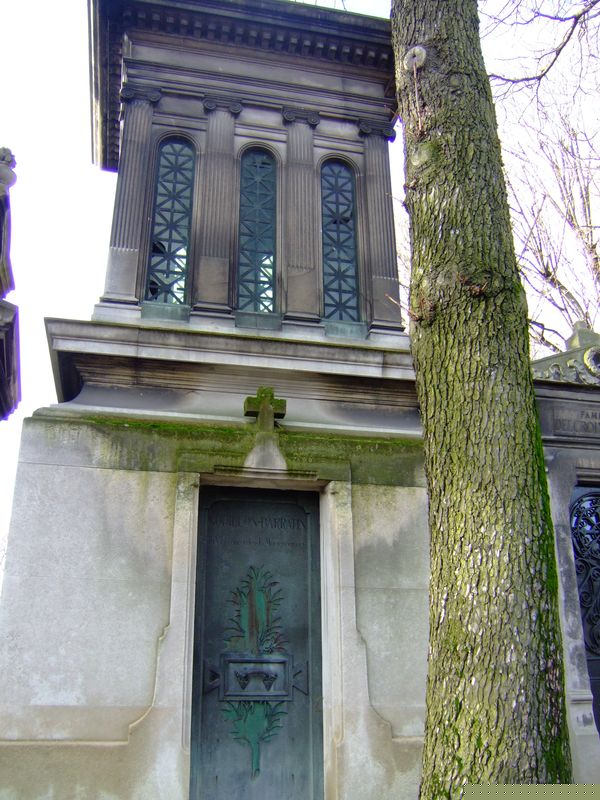 DSCF0973.JPG