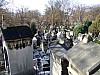DSCF0984.JPG