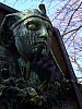 DSCF0987.JPG