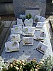 DSCF0992.JPG