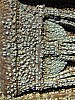 DSCF0998.JPG