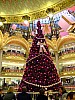DSCF1044.JPG