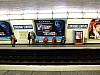 DSCF1142.JPG