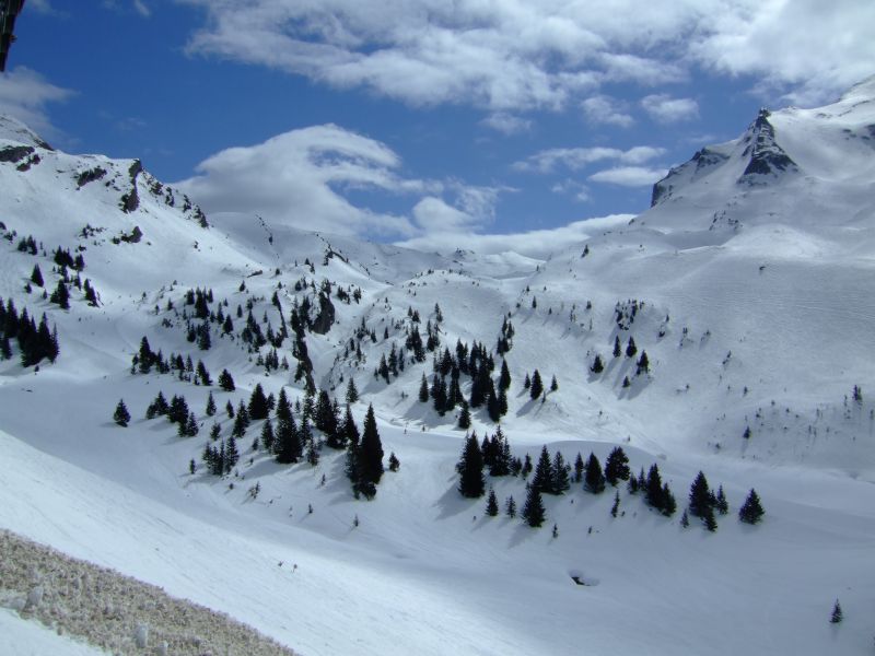 DSCF9772.JPG