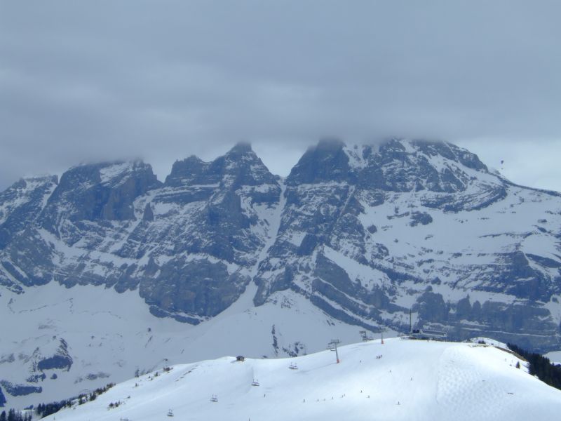 DSCF9781.JPG