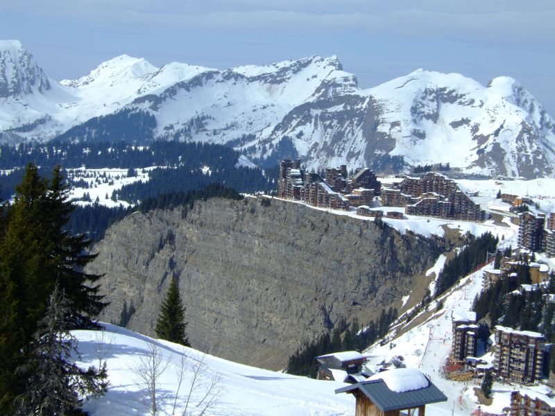 DSCF9784.JPG