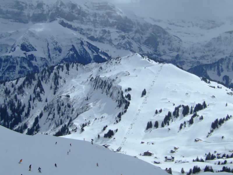DSCF9808.JPG