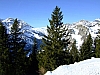 DSCF9761.JPG