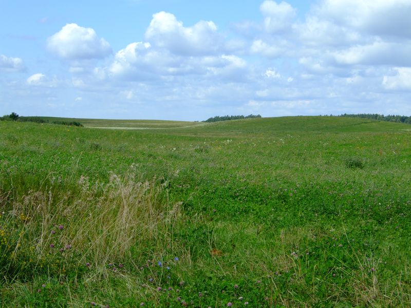 DSCF5558.JPG