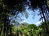 DSCF3043.JPG
