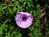 DSCF3062.JPG