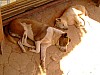 DSCF3127.JPG