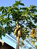 DSCF3202.JPG